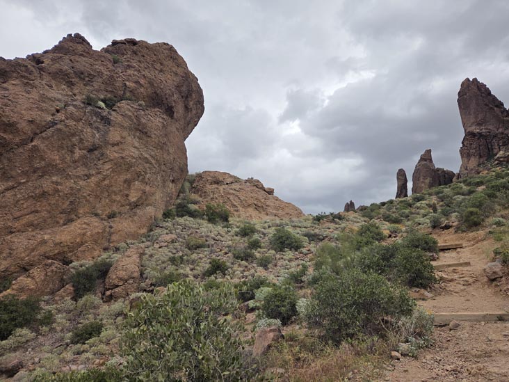 Treasure Loop Trail, Lost Dutchman State Park, Apache Junction, Arizona, February 18, 2026