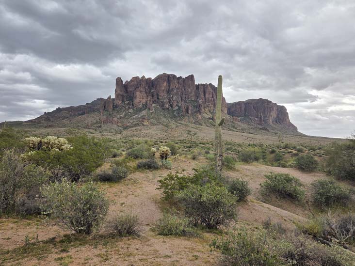 Treasure Loop Trail, Lost Dutchman State Park, Apache Junction, Arizona, February 18, 2026