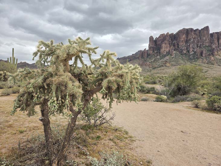 Lost Dutchman State Park, Apache Junction, Arizona, February 18, 2026