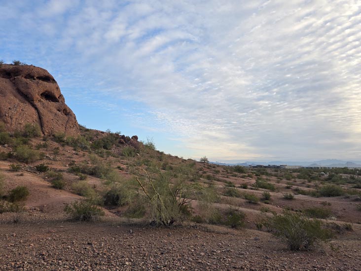 Papago Park 5K Fitness Trail, Papago Park, Phoenix, Arizona, February 19, 2026