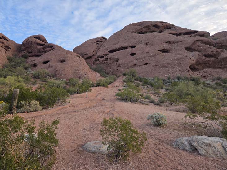 Papago Park 5K Fitness Trail, Papago Park, Phoenix, Arizona, February 19, 2026