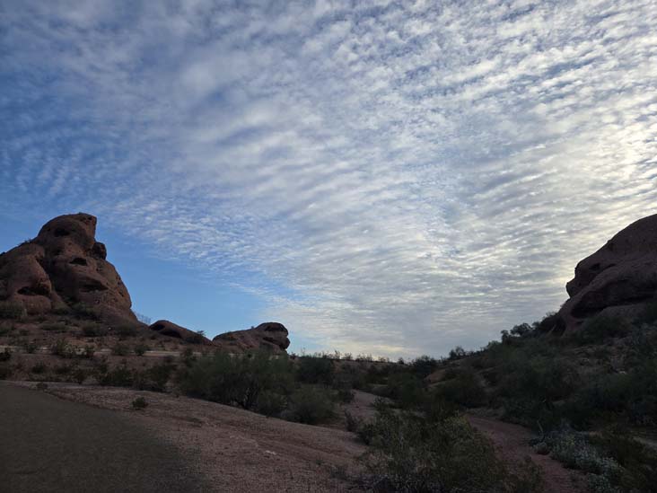 Papago Park 5K Fitness Trail, Papago Park, Phoenix, Arizona, February 19, 2026