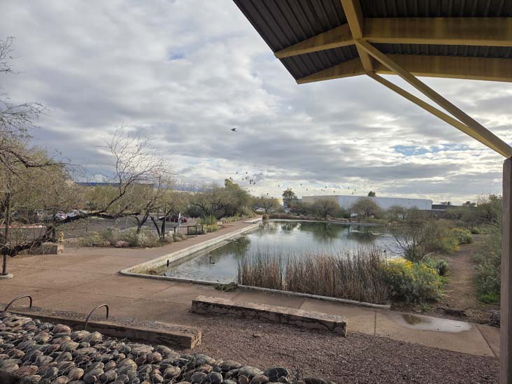 Rio Salado Habitat Restoration Area at NE Central Avenue Trailhead, Phoenix, Arizona, December 17, 2026