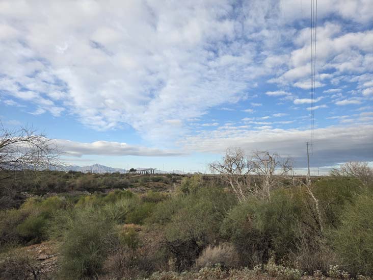 Rio Salado Habitat Restoration Area Near NE Central Avenue Trailhead, Phoenix, Arizona, December 17, 2026