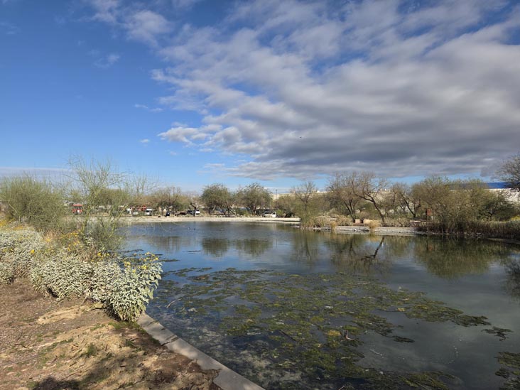 Rio Salado Habitat Restoration Area at NE Central Avenue Trailhead, Phoenix, Arizona, December 17, 2026