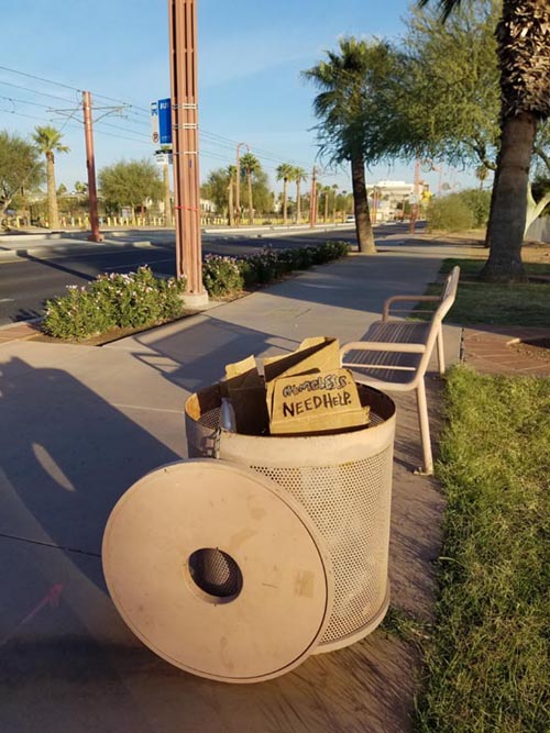 Steele Indian School Park, Phoenix, Arizona, December 3, 2017