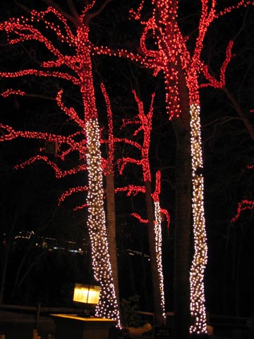 Dancing Lights Display, Red Rock Fantasy, 2004, Sedona, Arizona