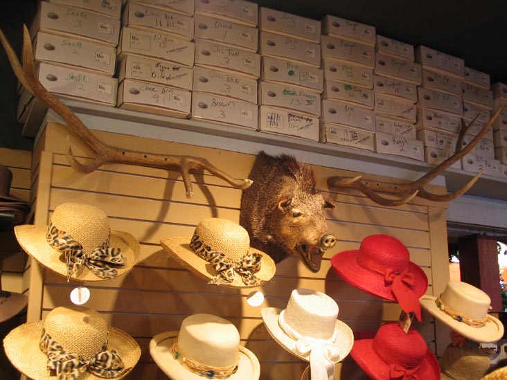 Hats, Sedona, Arizona, December 12, 2004