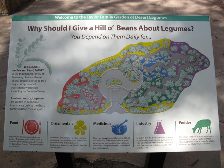 Taylor Desert Legume Garden, Boyce Thompson Arboretum State Park, Superior, Arizona