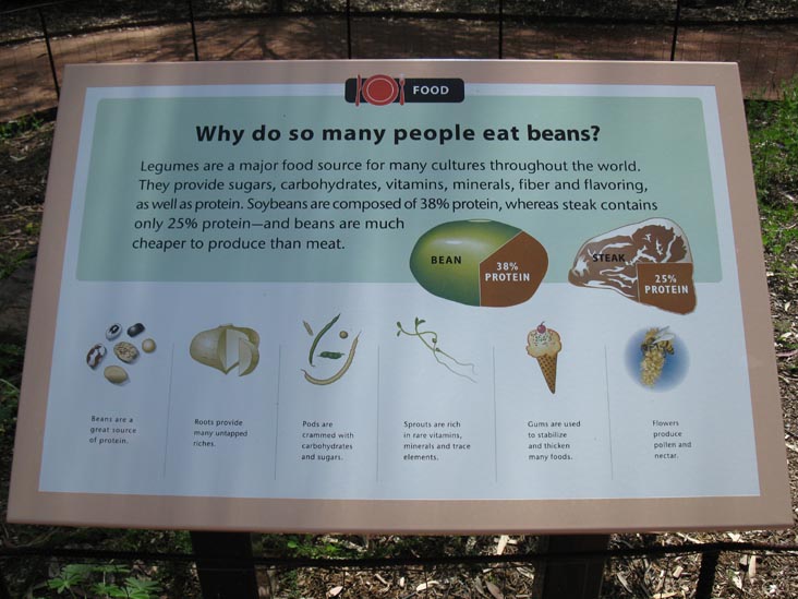 Taylor Desert Legume Garden, Boyce Thompson Arboretum State Park, Superior, Arizona