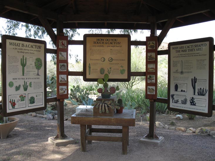 Cactus and Succulent Garden, Boyce Thompson Arboretum State Park, Superior, Arizona