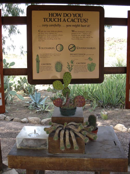 Cactus and Succulent Garden, Boyce Thompson Arboretum State Park, Superior, Arizona