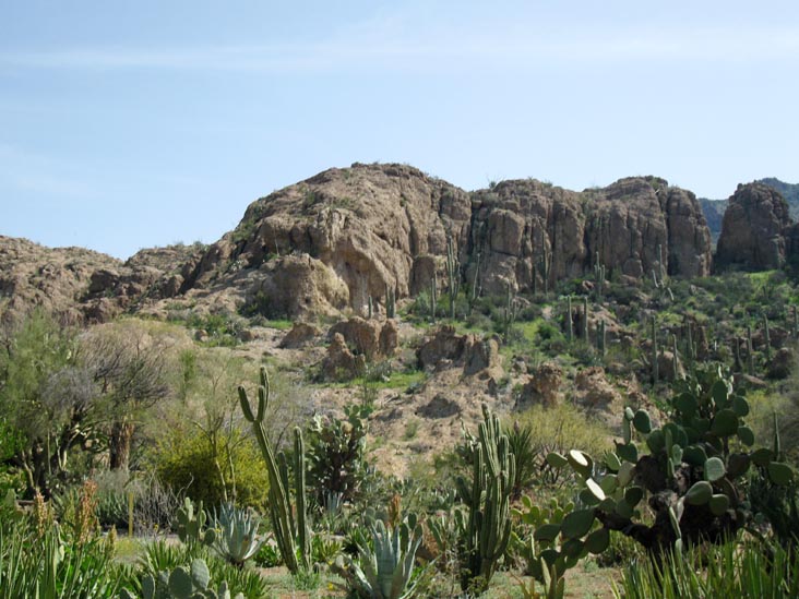 Cactus and Succulent Garden, Boyce Thompson Arboretum State Park, Superior, Arizona