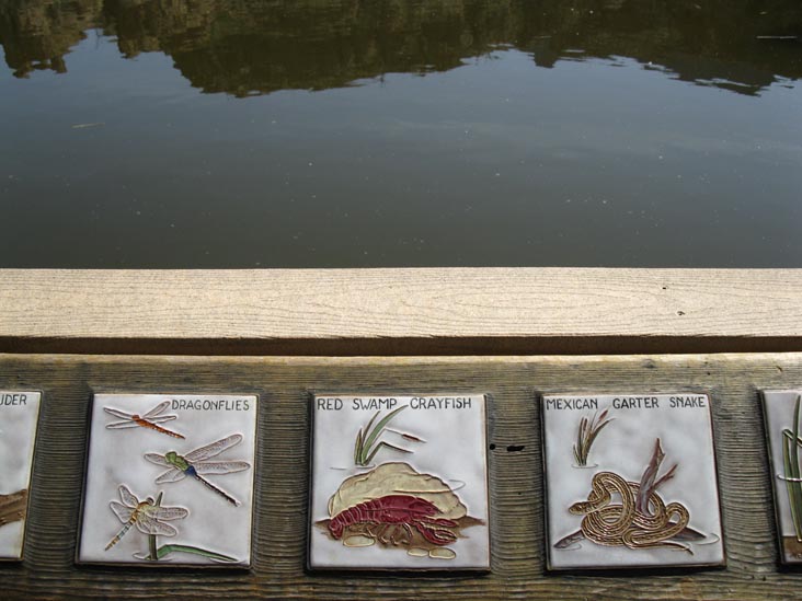 Ayer Lake, Boyce Thompson Arboretum State Park, Superior, Arizona