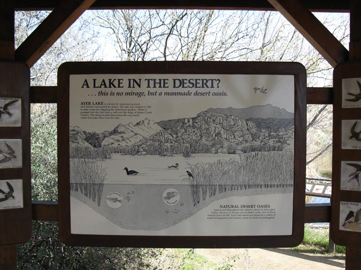 Ayer Lake, Boyce Thompson Arboretum State Park, Superior, Arizona