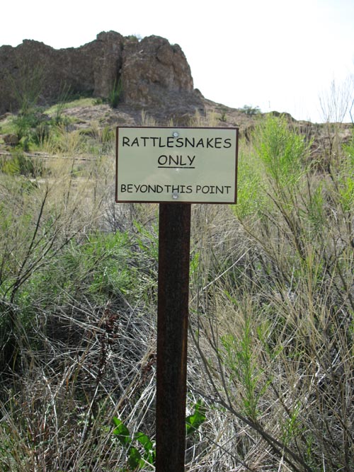 Rattlesnake Warning, Upland Sonoran Natural Area, Boyce Thompson Arboretum State Park, Superior, Arizona