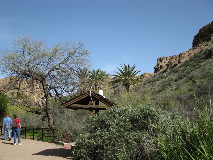 Boyce Thompson Arboretum State Park, Superior, Arizona