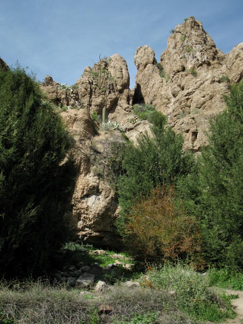 Boyce Thompson Arboretum State Park, Superior, Arizona