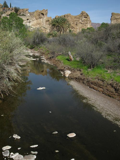 Queen Creek From Suspension Bridge, Boyce Thompson Arboretum State Park, Superior, Arizona