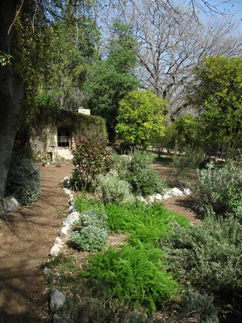 Wing Herb Garden, Boyce Thompson Arboretum State Park, Superior, Arizona