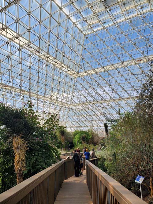 Coastal Fog Desert, Biosphere 2, Oracle, Arizona, February 23, 2023
