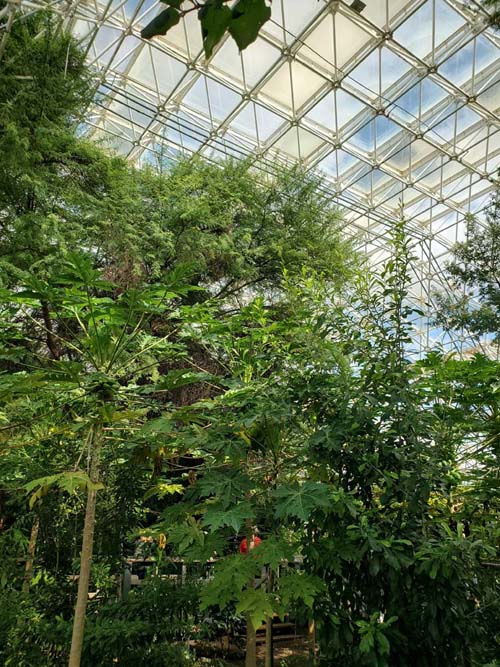 Biosphere 2, Oracle, Arizona, February 23, 2023