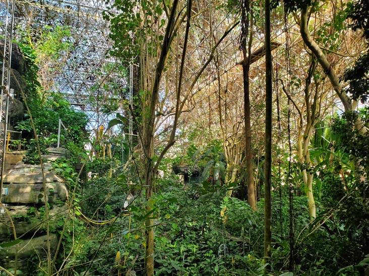 Rainforest, Biosphere 2, Oracle, Arizona, February 23, 2023