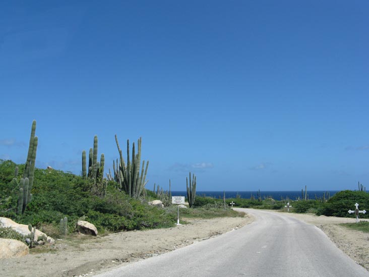 Road to Alto Vista Chapel, Aruba