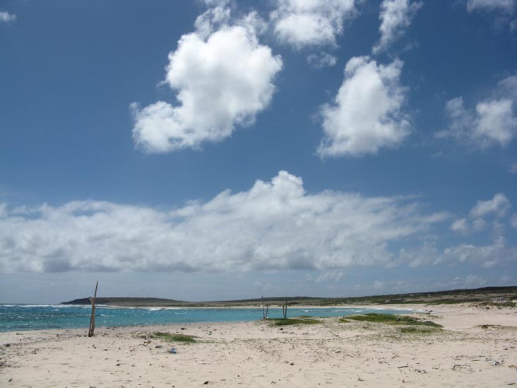 Boca Grandi, Aruba