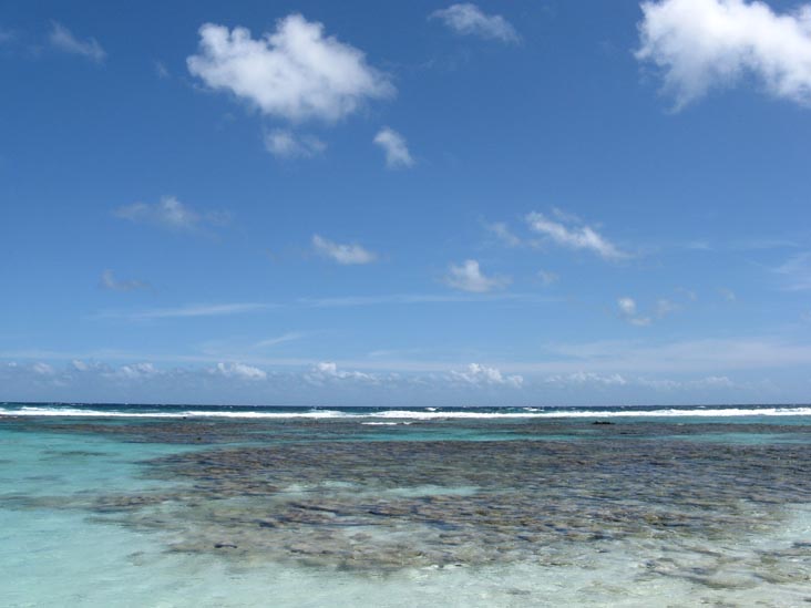 Beach and Snorkeling Area Near Boca Grandi, Aruba