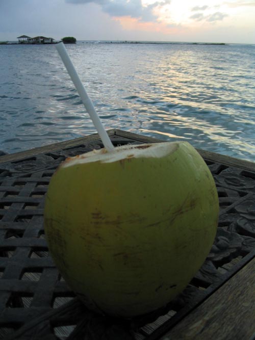 Coconut Juice, Coral Reef Beach, Savaneta 344a, Aruba