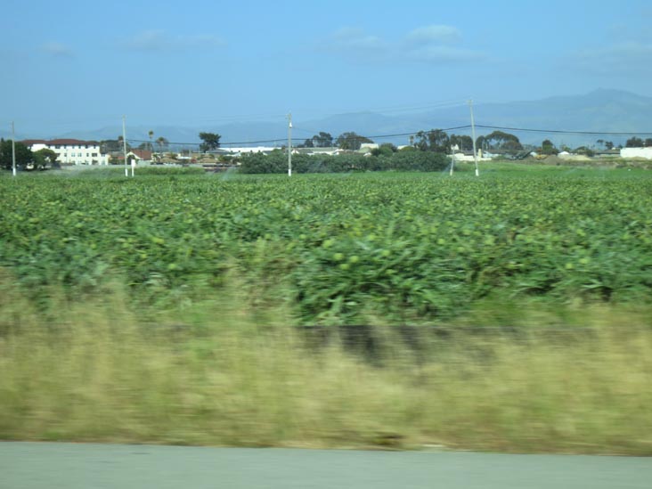 Highway 1/Cabrillo Highway Between Castroville and Marina, California, May 14, 2012