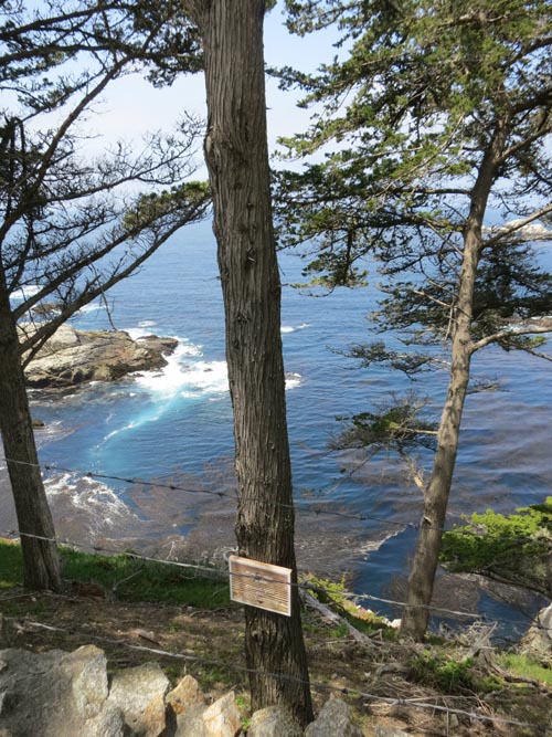 Overlook, Highway 1 Near Hyatt Carmel Highlands, Carmel Highlands, California, May 15, 2012