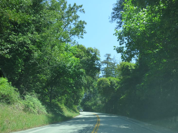 Highway 1 Near Big Sur, California, May 15, 2012