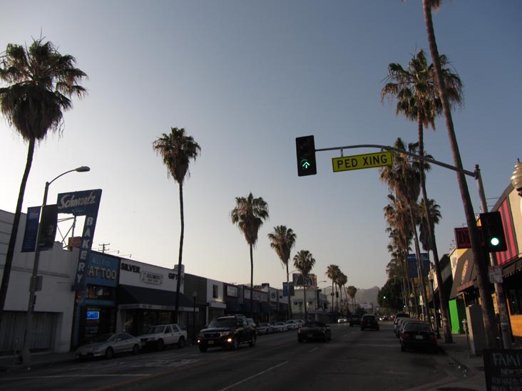 Fairfax Avenue Between Oakwood Avenue and Rosewood Avenue, Los Angeles, California, May 20, 2012, 6:34 p.m.