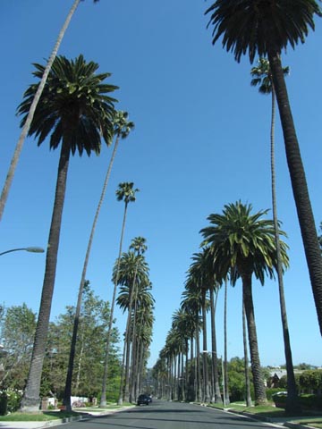 Bedford Drive Between Elevado Avenue and Carmelita Avenue, Beverly Hills, California, May 20, 2012