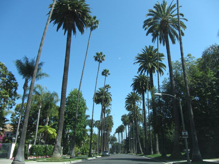 Bedford Drive Between Sunset Boulevard and Lomitas Avenue, Beverly Hills, California, May 20, 2012