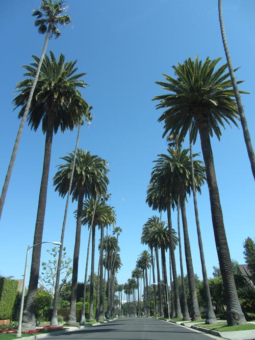 Bedford Drive Between Lomitas Avenue and Elevado Avenue, Beverly Hills, California, May 20, 2012
