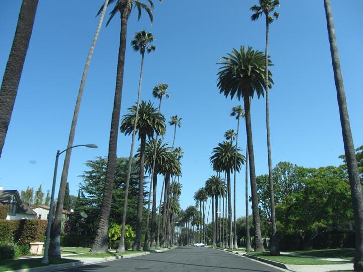 Bedford Drive Between Lomitas Avenue and Elevado Avenue, Beverly Hills, California, May 20, 2012