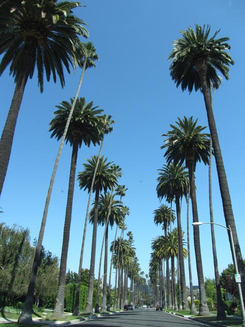 Bedford Drive Between Elevado Avenue and Carmelita Avenue, Beverly Hills, California, May 20, 2012
