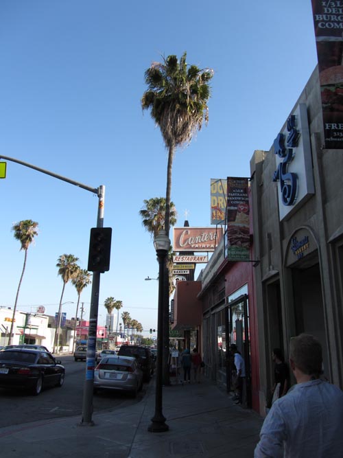 Fairfax Avenue Between Oakwood Avenue and Rosewood Avenue, Los Angeles, California