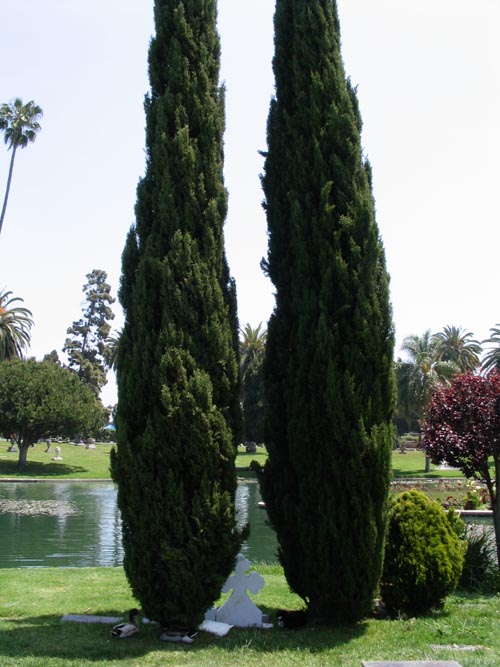 Hollywood Forever Cemetery, 6000 Santa Monica Boulevard, Hollywood, California, May 10, 2006