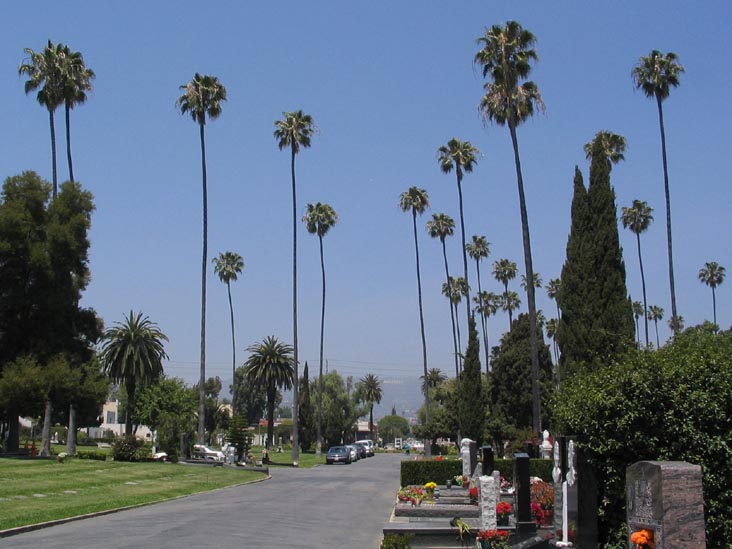 Pineland Avenue, Hollywood Forever Cemetery, 6000 Santa Monica Boulevard, Hollywood, California