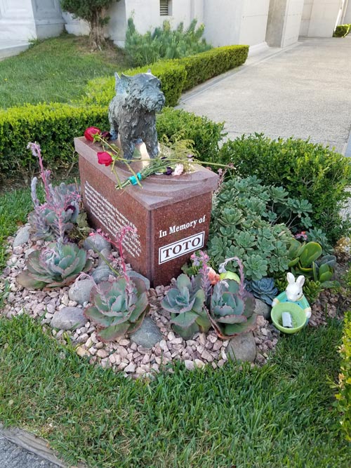 Toto, Hollywood Forever Cemetery, Hollywood, California, October 5, 2019