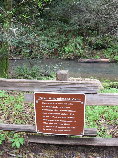 First Amendment Area, Redwood Creek, Muir Woods National Monument, Marin County, California, March 6, 2010