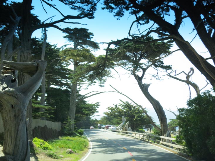 17-Mile Drive, Monterey County, California, May 15, 2012