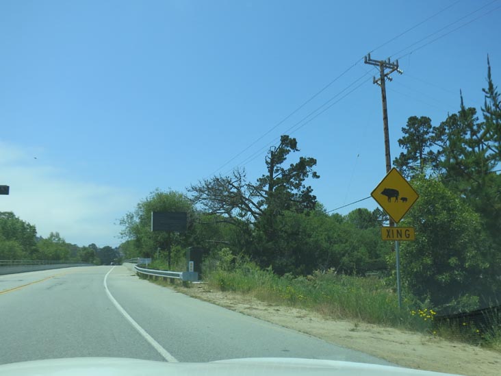 Wild Boar Crossing Sign, Highway 1 Near Oliver Road, Carmel, California, May 15, 2012