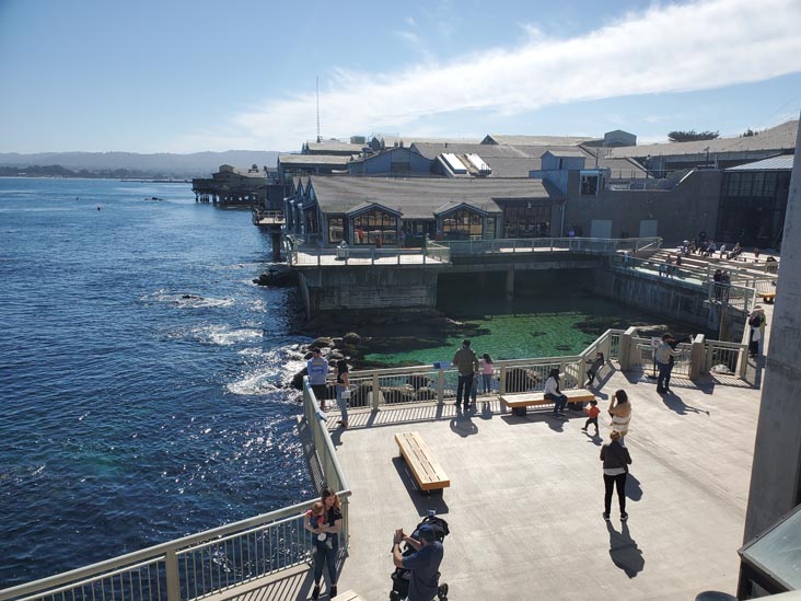 Great Tide Pool, Monterey Bay Aquarium, Monterey, California, February 19, 2022
