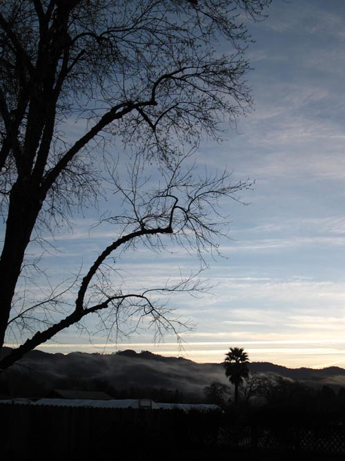 Euro Spa & Inn, 1202 Pine Street, Calistoga, California