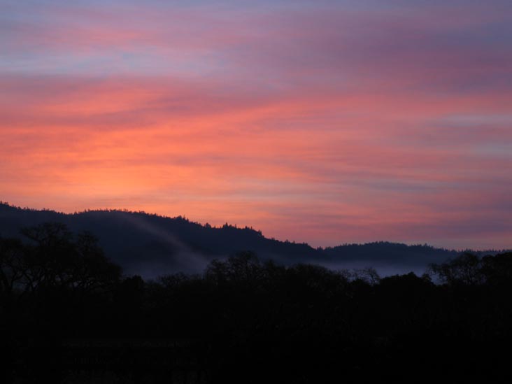Euro Spa & Inn, 1202 Pine Street, Calistoga, California